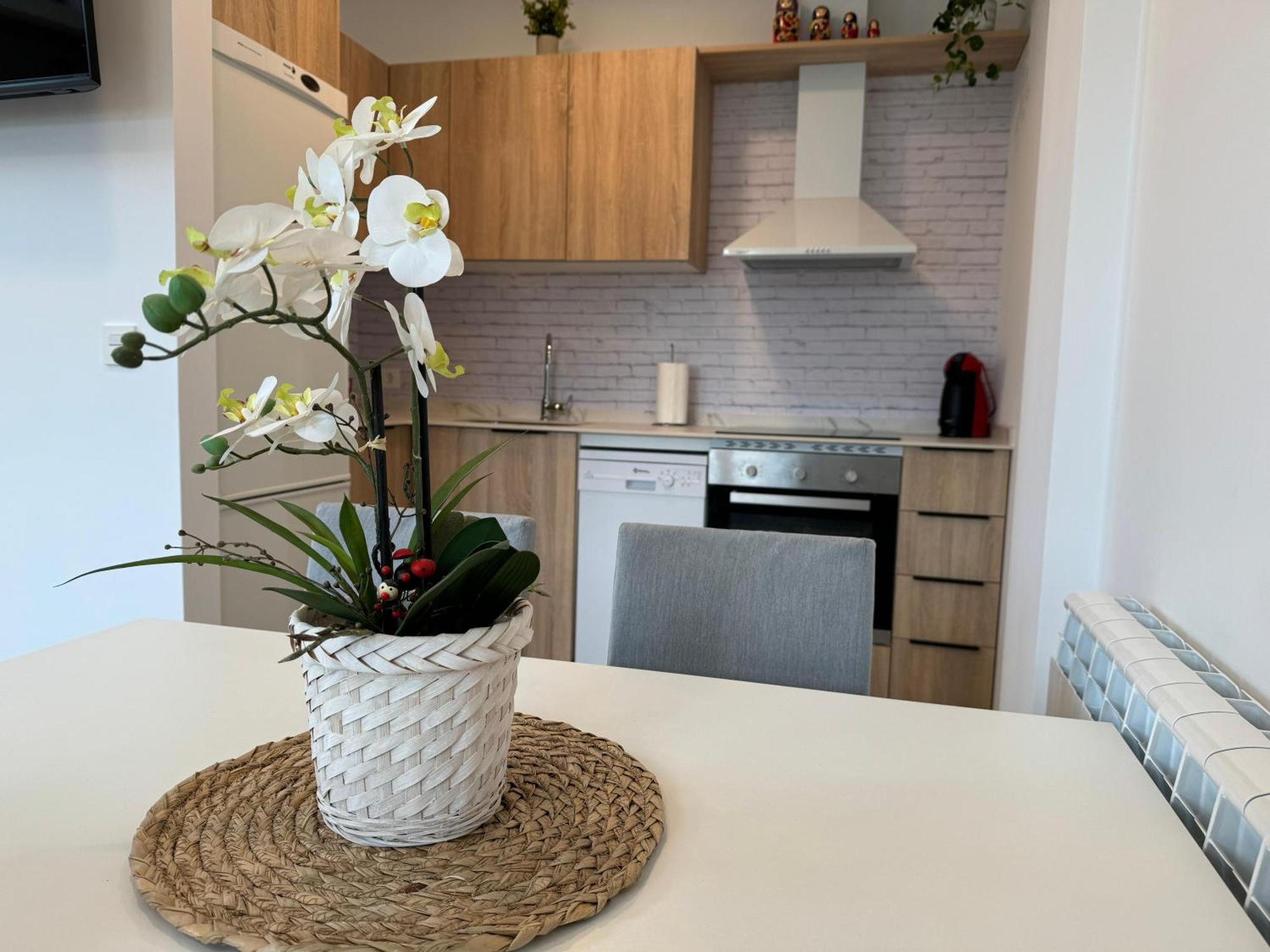 Apartamentos Montejurra アイェグイ エクステリア 写真
