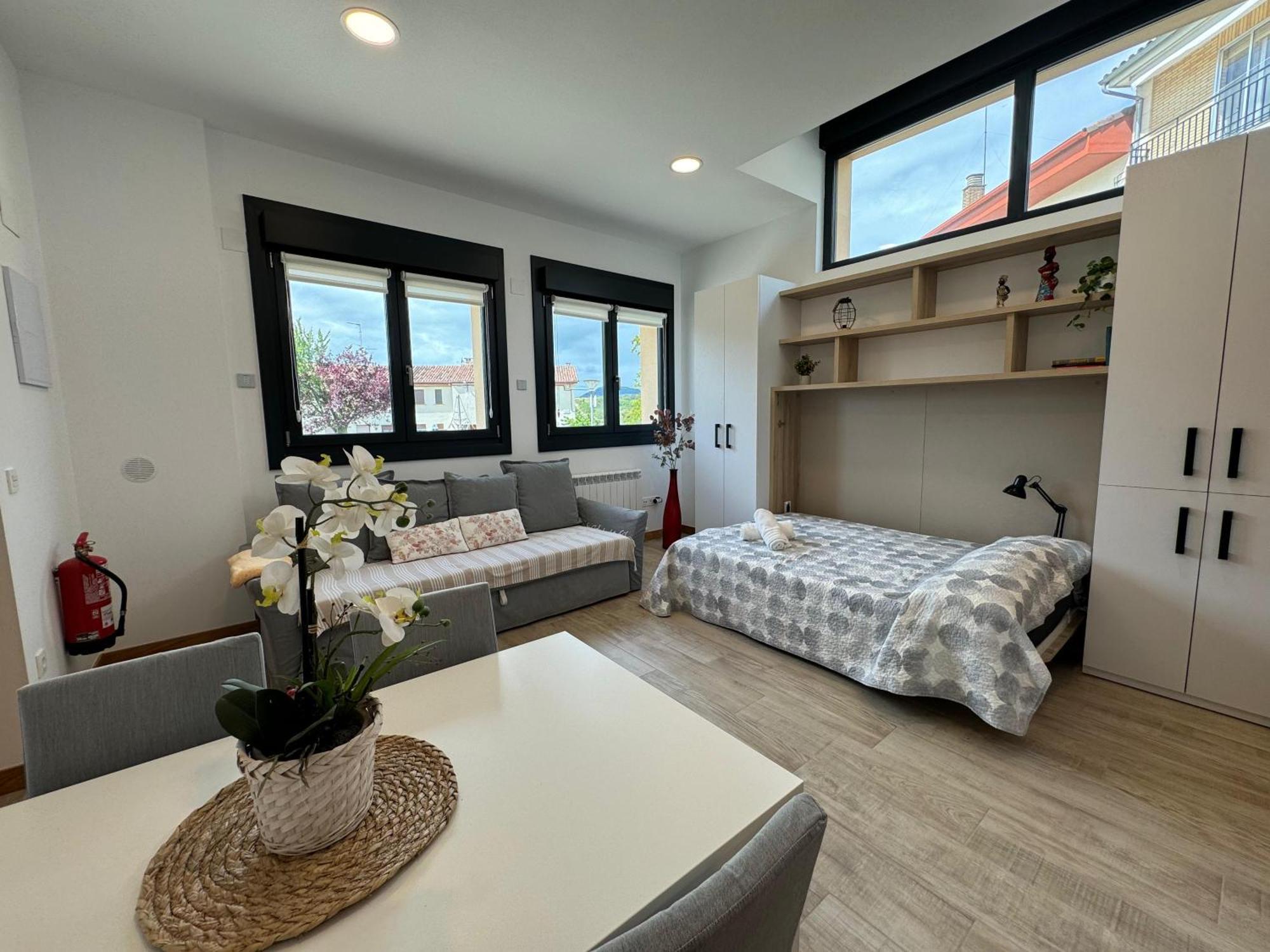 Apartamentos Montejurra アイェグイ エクステリア 写真